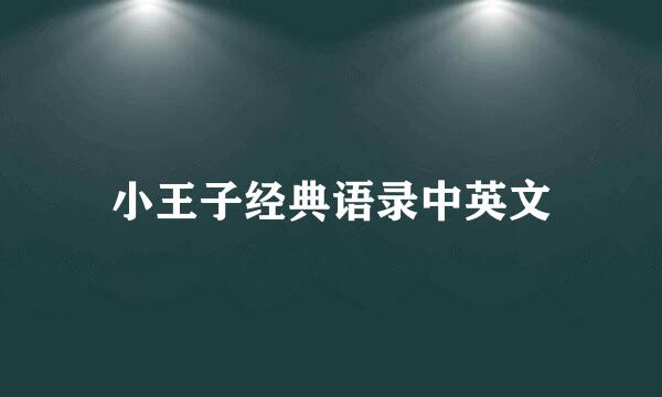 小王子经典语录中英文