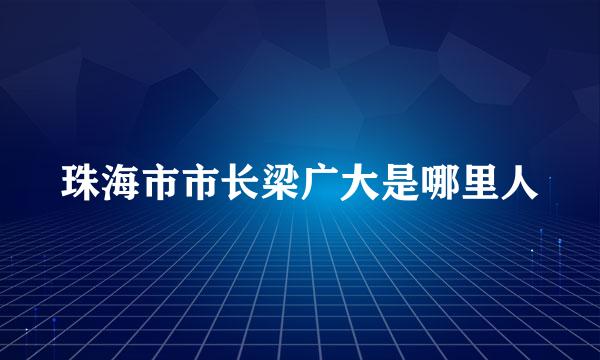 珠海市市长梁广大是哪里人