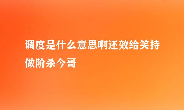 调度是什么意思啊还效给笑持做阶杀今哥