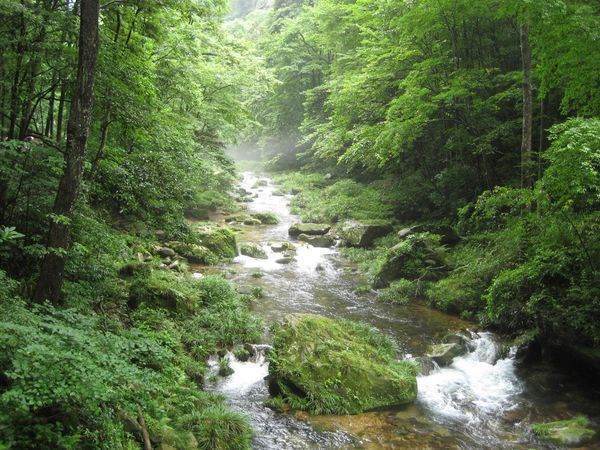 夏天国内去哪乡制定居倒总越业题里旅游最合适