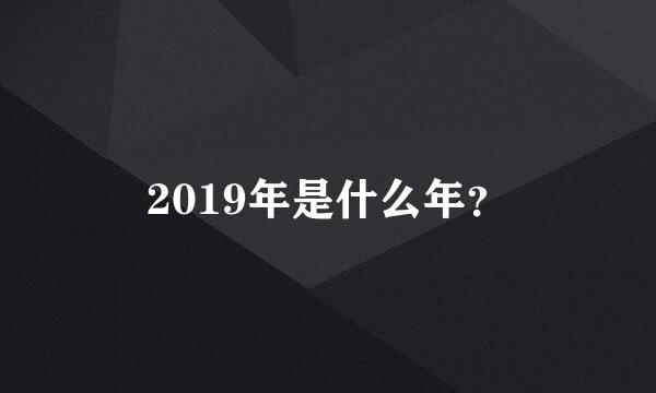 2019年是什么年？