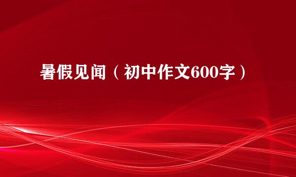 暑假见闻（初中作文600字）