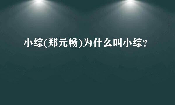 小综(郑元畅)为什么叫小综？