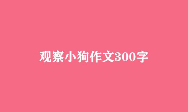 观察小狗作文300字