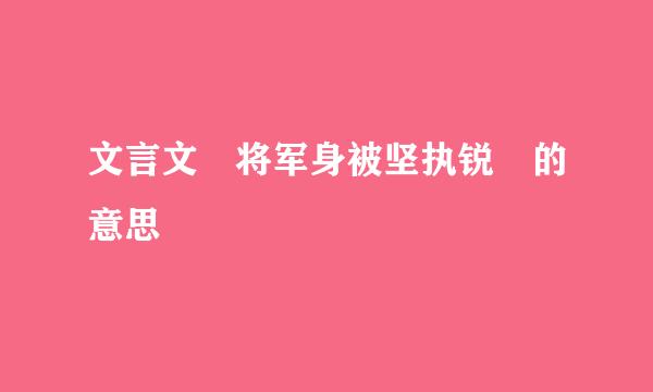 文言文 将军身被坚执锐 的意思