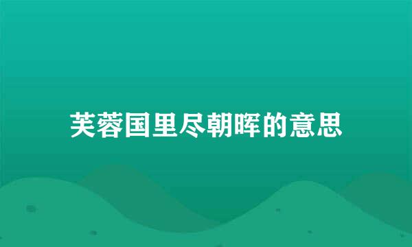 芙蓉国里尽朝晖的意思