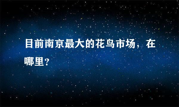 目前南京最大的花鸟市场，在哪里？