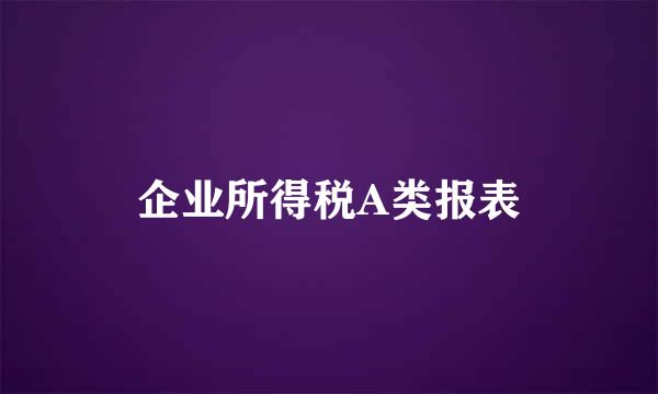 企业所得税A类报表