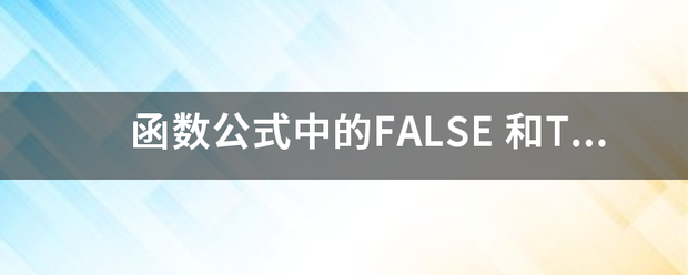 函数公式中的FALSE