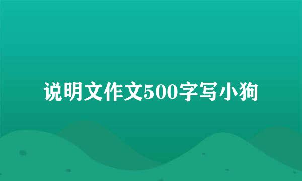 说明文作文500字写小狗