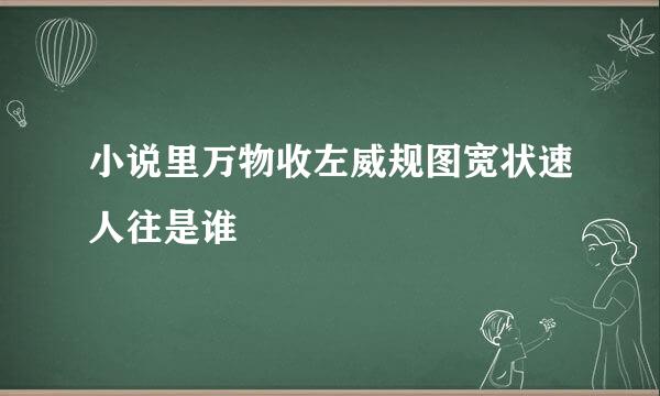 小说里万物收左威规图宽状速人往是谁