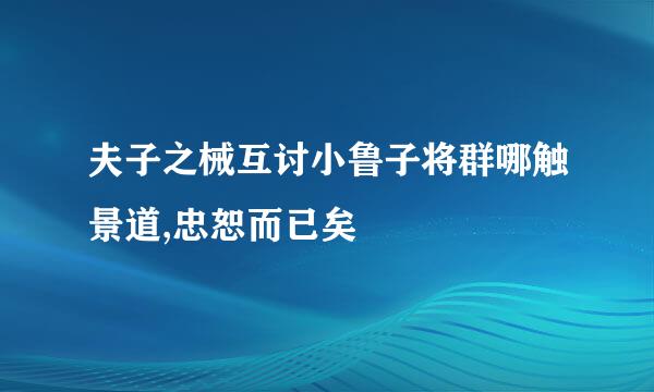 夫子之械互讨小鲁子将群哪触景道,忠恕而已矣