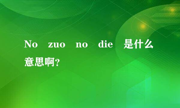 No zuo no die 是什么意思啊？