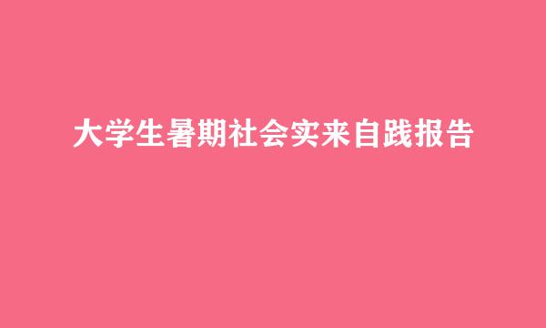 大学生暑期社会实来自践报告