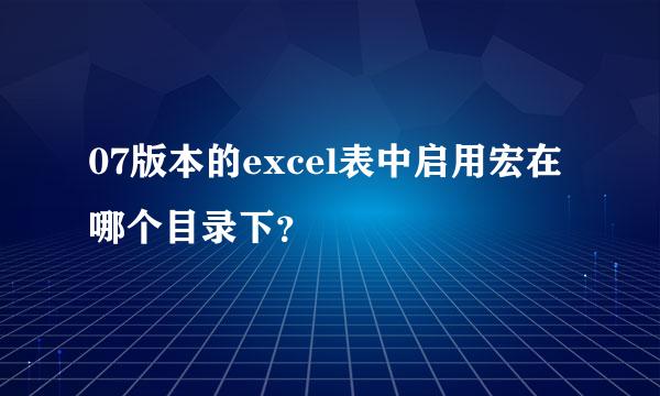 07版本的excel表中启用宏在哪个目录下？