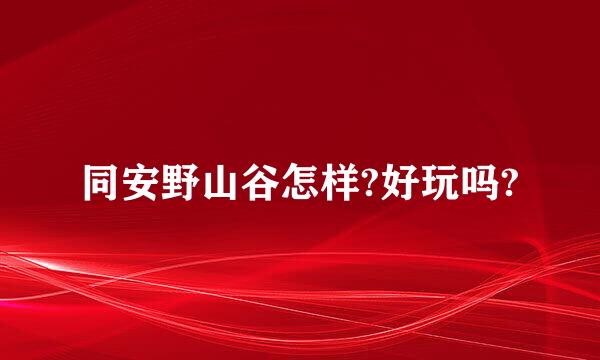 同安野山谷怎样?好玩吗?