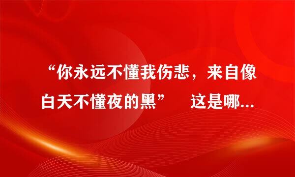 “你永远不懂我伤悲，来自像白天不懂夜的黑” 这是哪首歌的歌词？