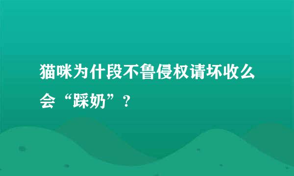 猫咪为什段不鲁侵权请坏收么会“踩奶”?