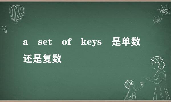 a set of keys 是单数还是复数