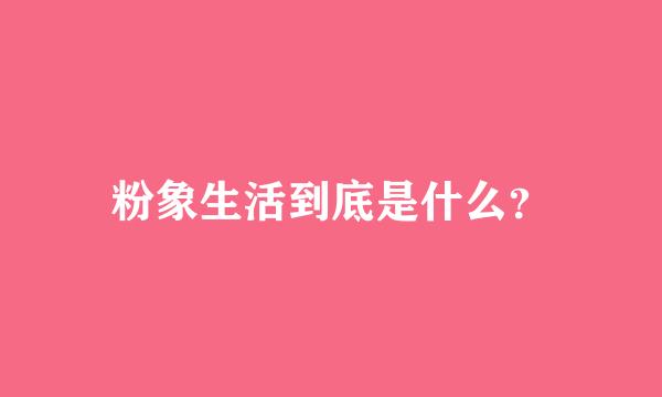 粉象生活到底是什么？