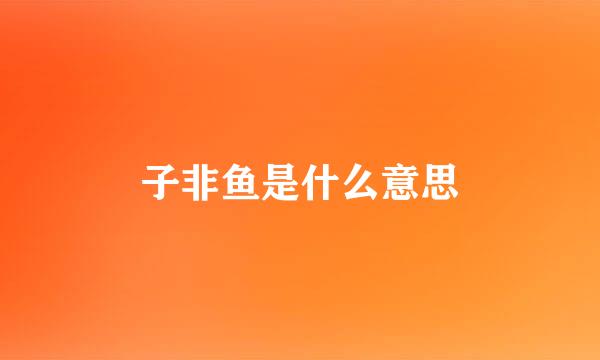 子非鱼是什么意思