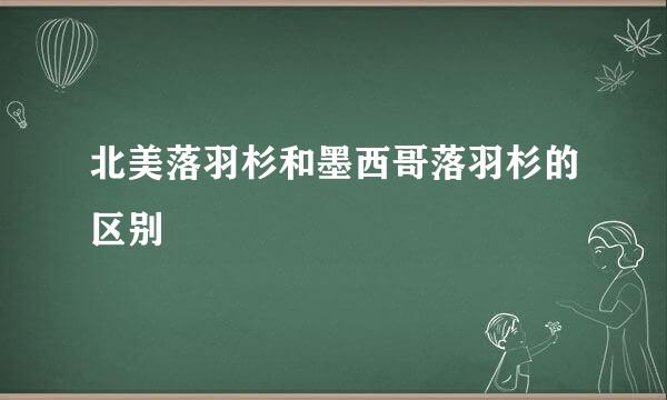 北美落羽杉和墨西哥落羽杉的区别