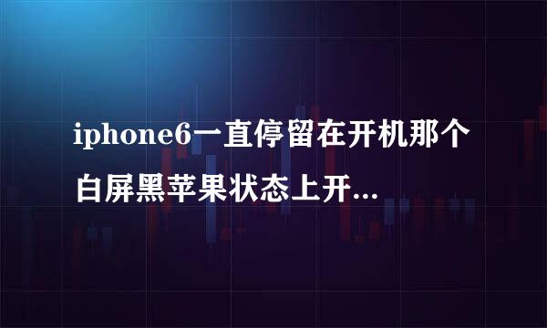 iphone6一直停留在开机那个白屏黑苹果状态上开不了机.大神求助