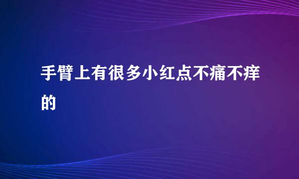 手臂上有很多小红点不痛不痒的