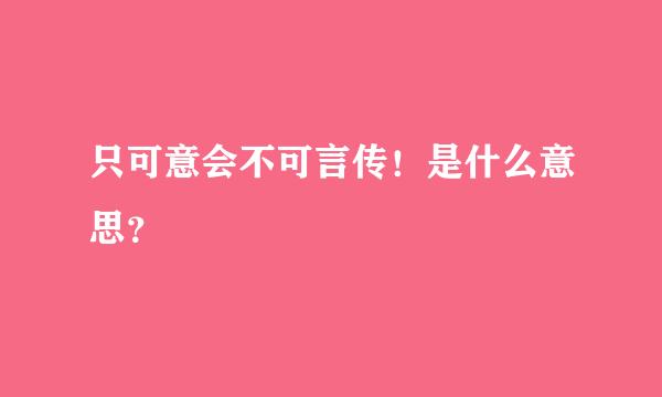 只可意会不可言传！是什么意思？