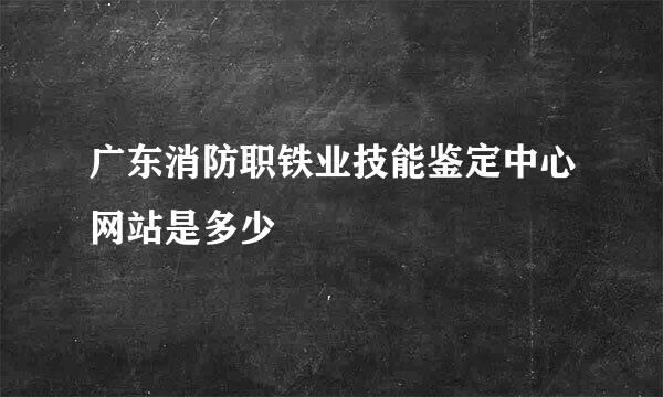 广东消防职铁业技能鉴定中心网站是多少