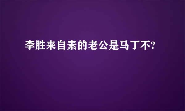 李胜来自素的老公是马丁不?