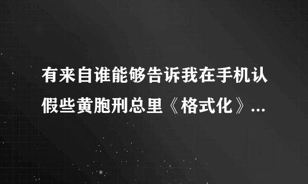 有来自谁能够告诉我在手机认假些黄胞刑总里《格式化》是什么意思