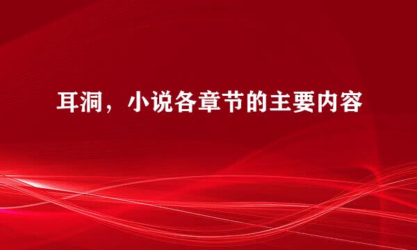 耳洞，小说各章节的主要内容