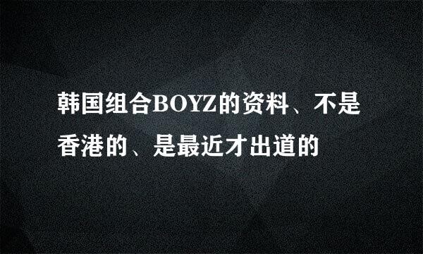 韩国组合BOYZ的资料、不是香港的、是最近才出道的