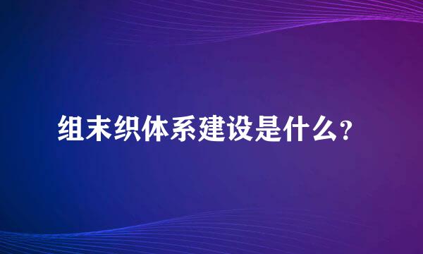 组末织体系建设是什么？