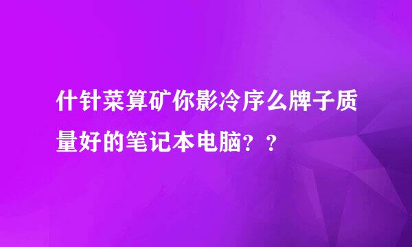 什针菜算矿你影冷序么牌子质量好的笔记本电脑？？