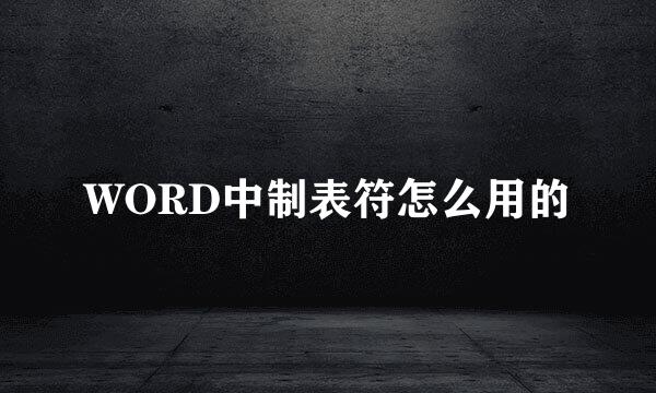 WORD中制表符怎么用的