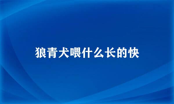 狼青犬喂什么长的快