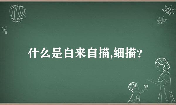 什么是白来自描,细描？