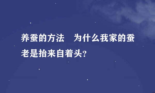 养蚕的方法 为什么我家的蚕老是抬来自着头？