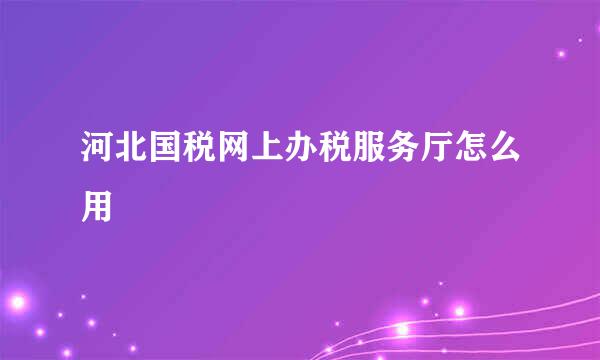 河北国税网上办税服务厅怎么用