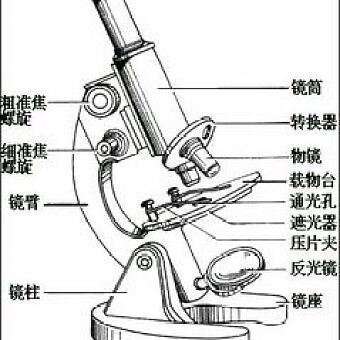 显微镜结构图？