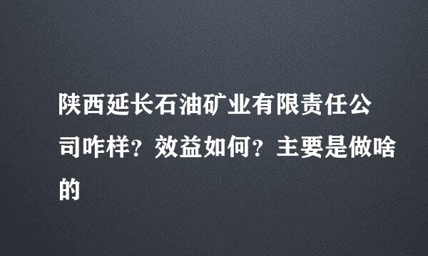 陕西延长石油矿业有限责任公司咋样？效益如何？主要是做啥的