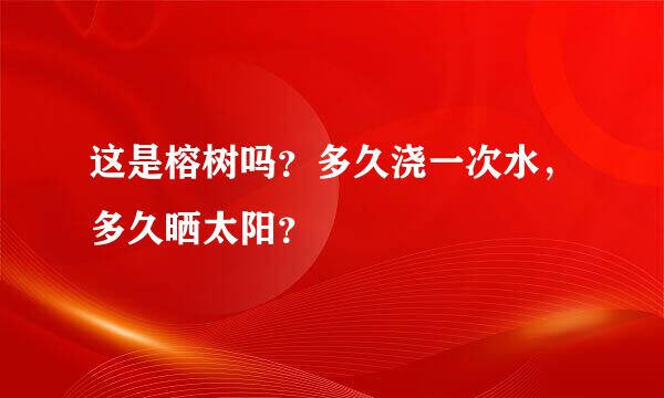 这是榕树吗？多久浇一次水，多久晒太阳？