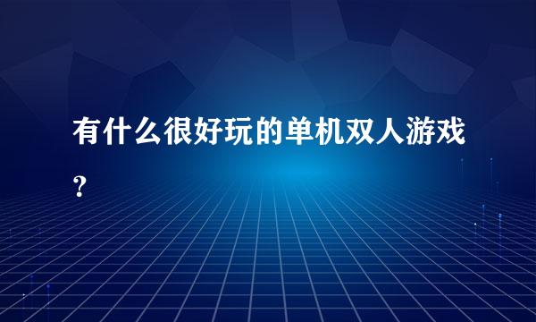 有什么很好玩的单机双人游戏？