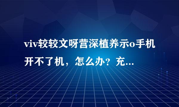 viv较较文呀营深植养示o手机开不了机，怎么办？充电益也不显示