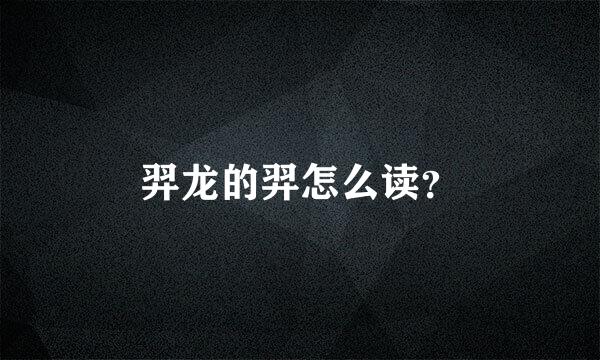 羿龙的羿怎么读？