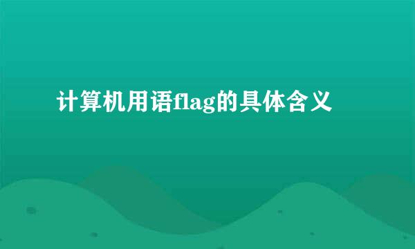 计算机用语flag的具体含义