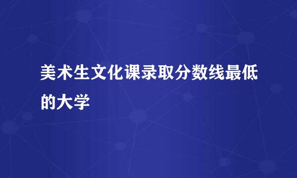 美术生文化课录取分数线最低的大学