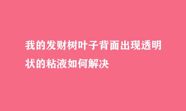 我的发财树叶子背面出现透明状的粘液如何解决